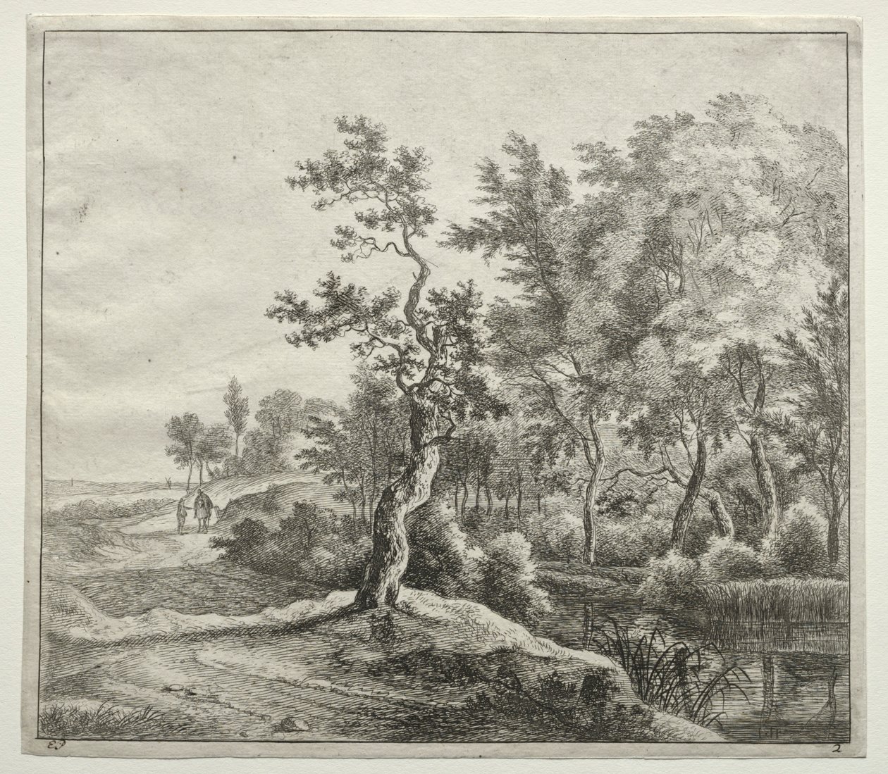  av Jan Hackaert