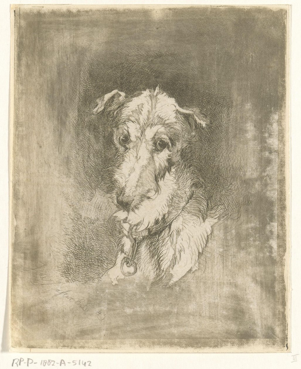 Greyhound hode av Jan Karel Jacob de Jonge