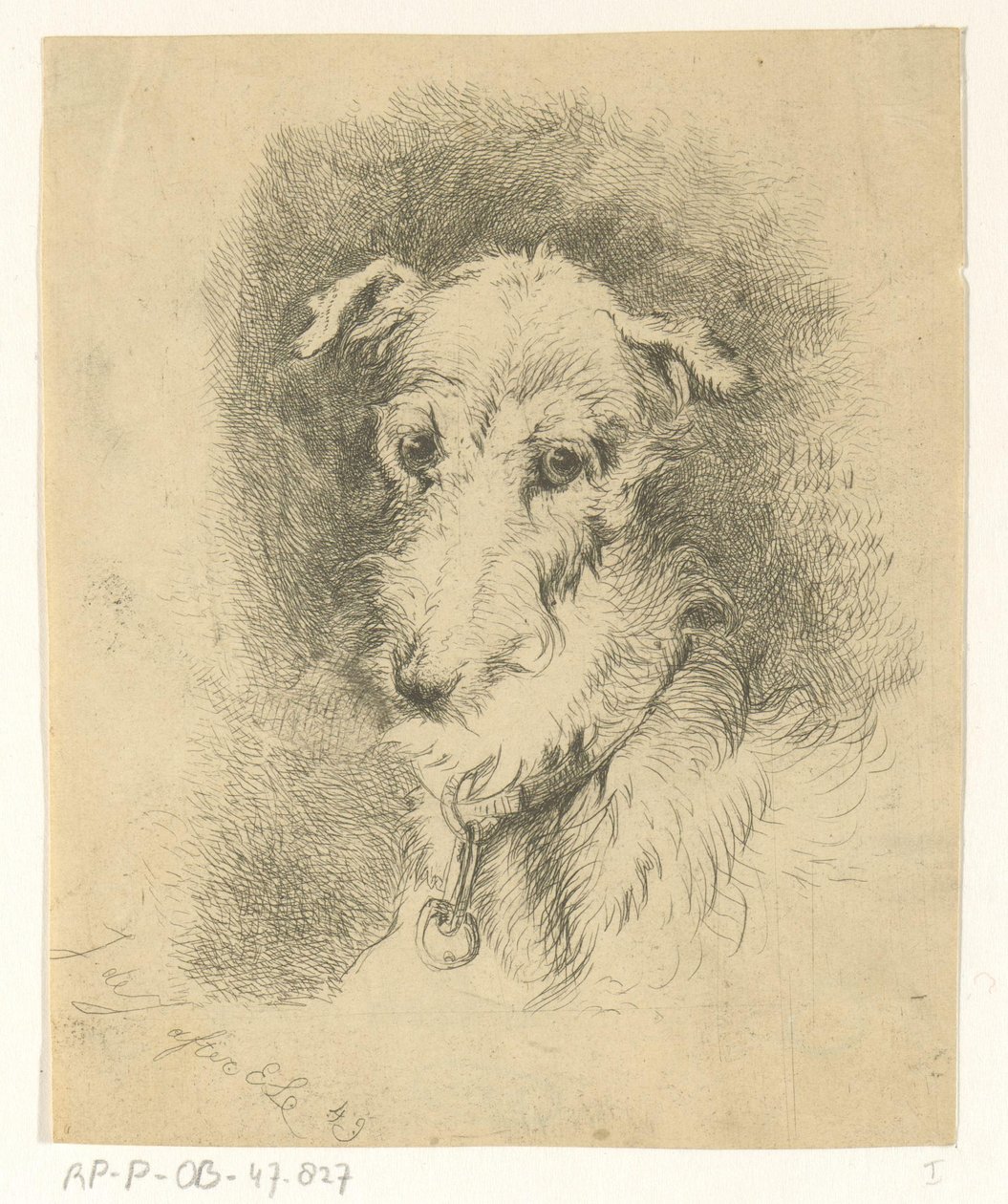 Greyhound hode av Jan Karel Jacob de Jonge