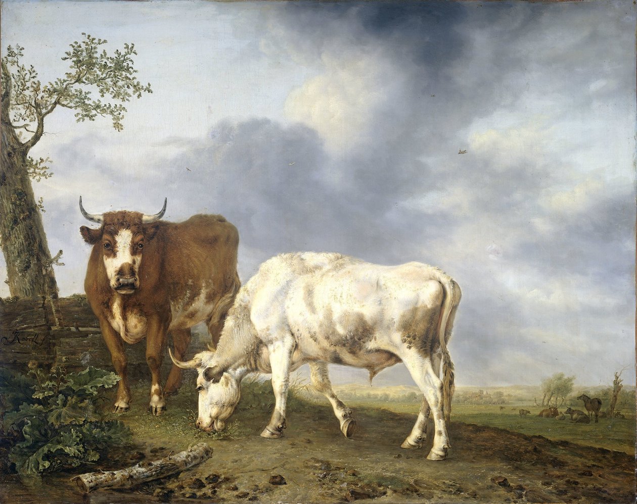Okser i Enga av Jan Kobell (II)