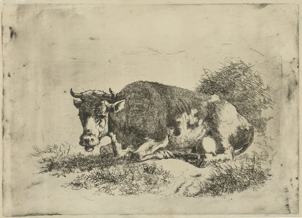 Liggende ku av Jan Kobell (III)