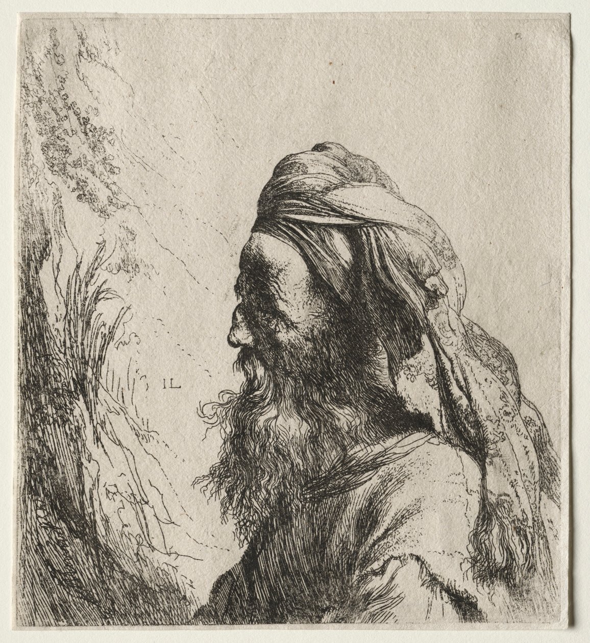 Leder for en orientaler, 1600-tallet. av Jan Lievens