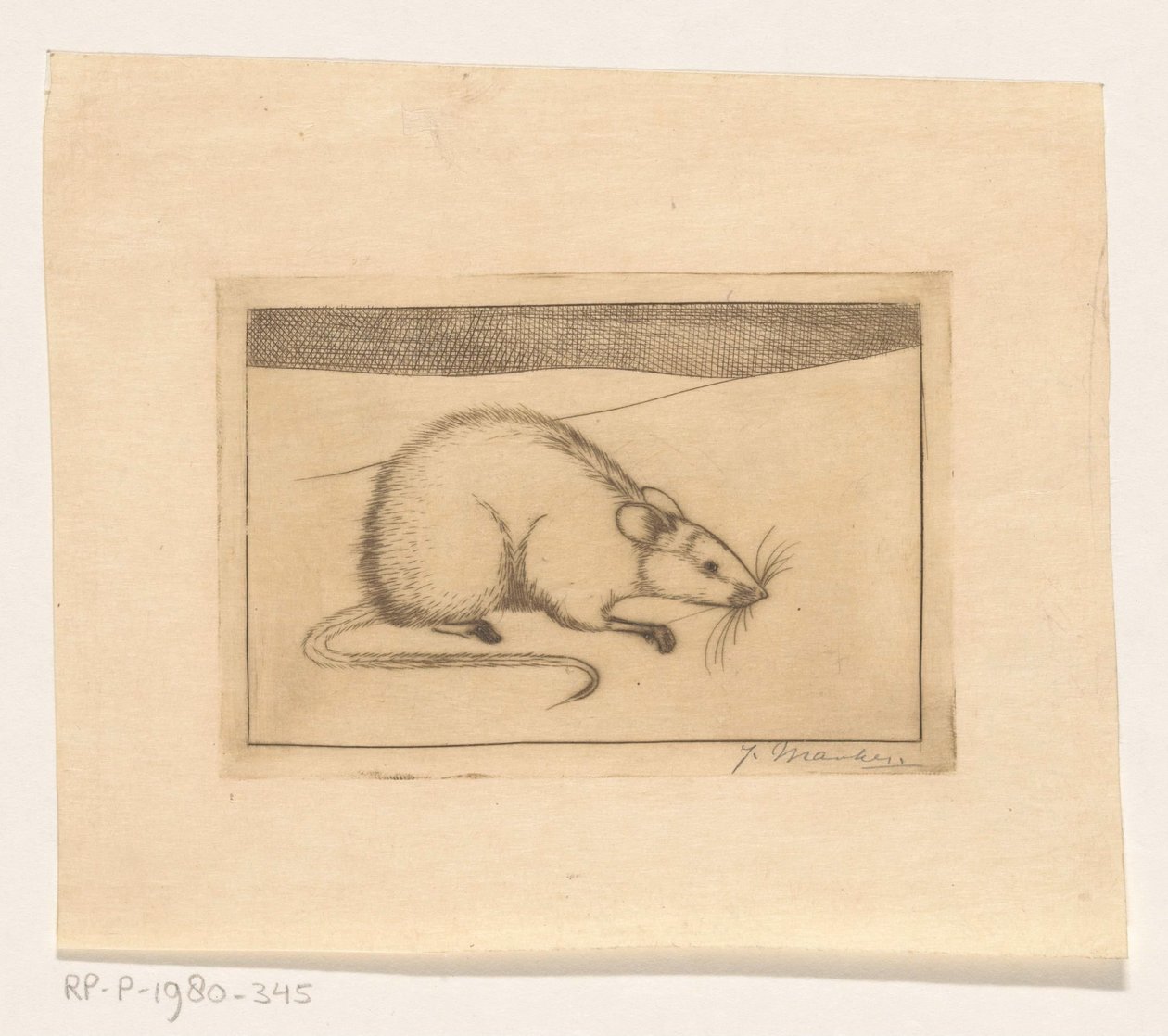 Mus av Jan Mankes (signed by artist)