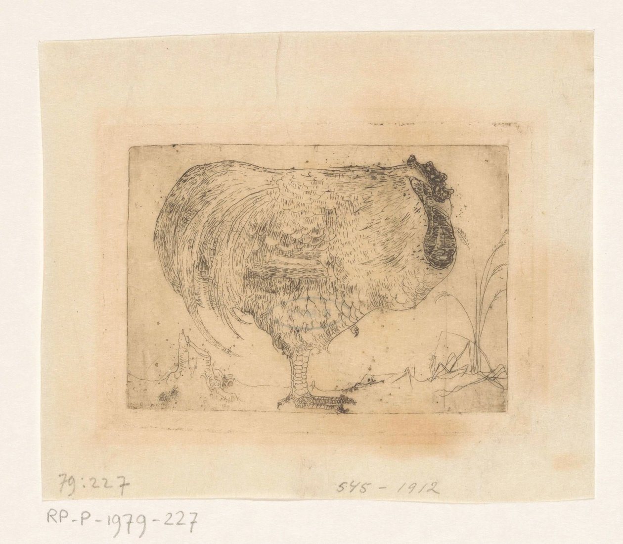 Hukende hane av Jan Mankes