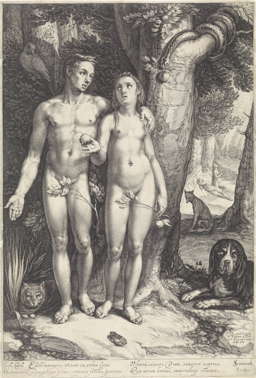 Fall of Man av Jan Saenredam