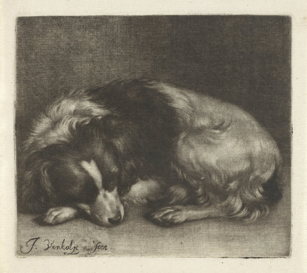 Sovende hund, muligens en spaniel av Jan Verkolje (I)