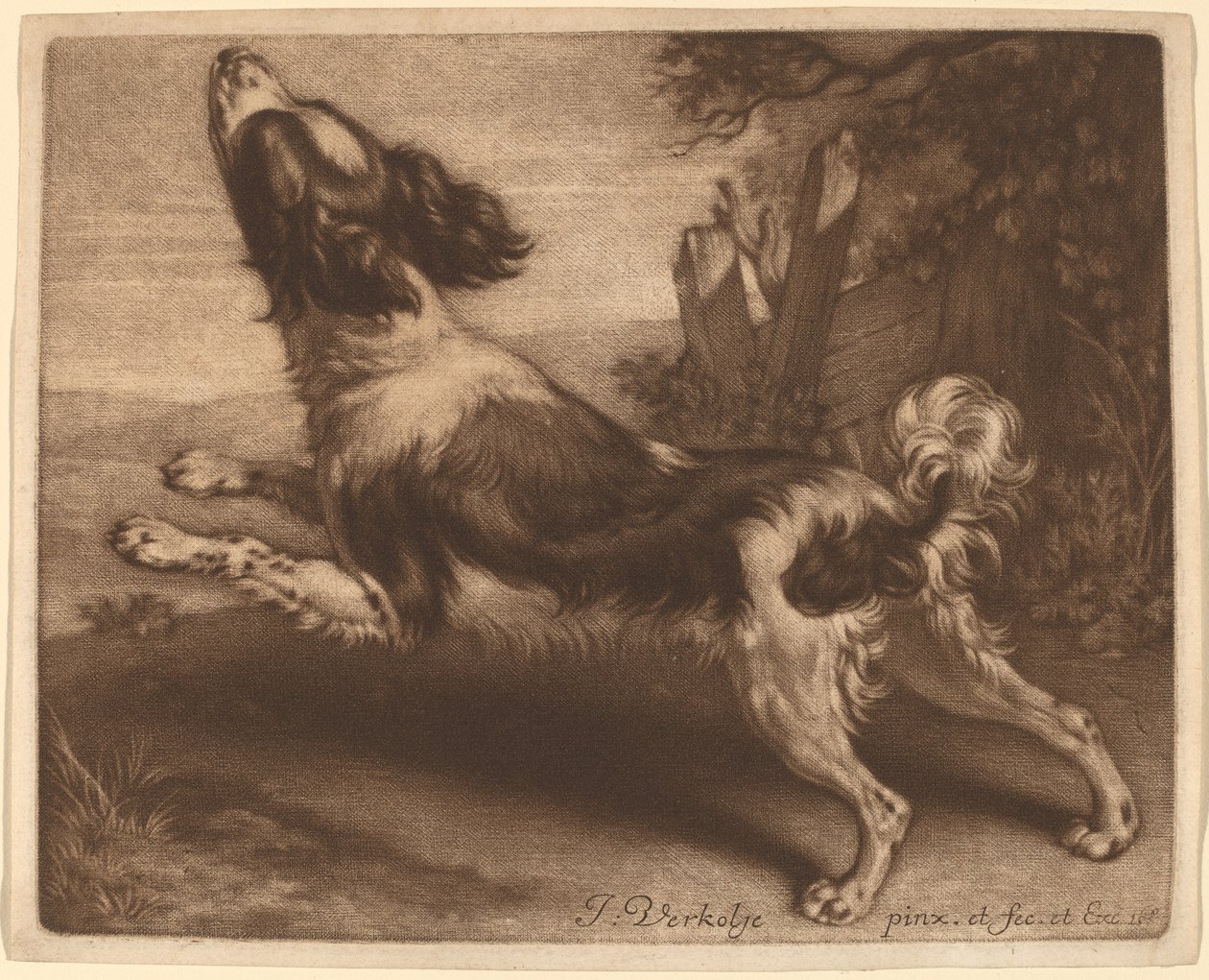 En spaniel som hopper av Jan Verkolje I