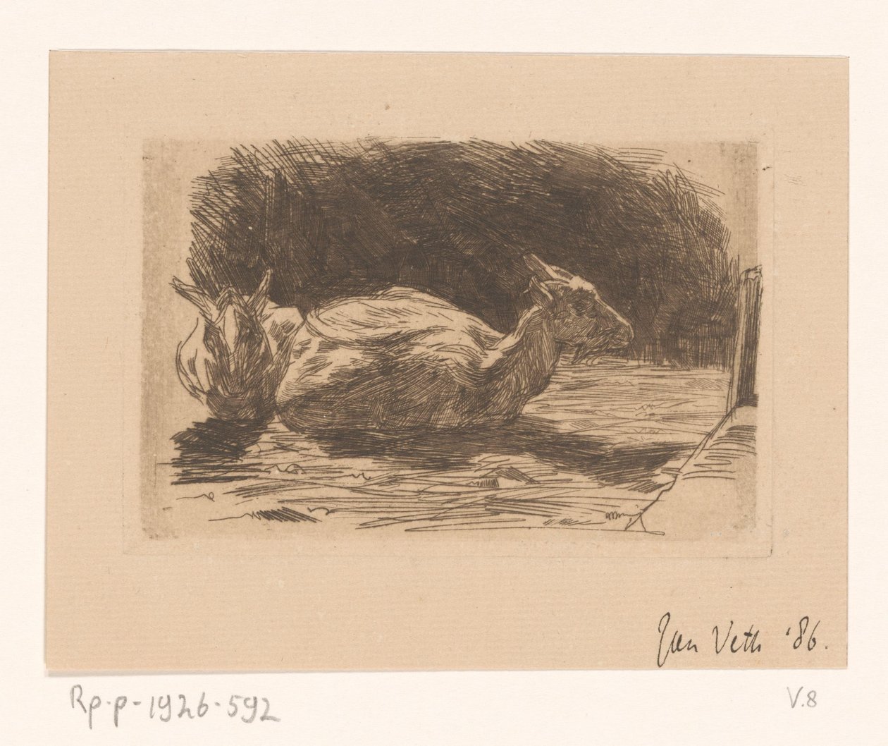 To geiter av Jan Veth (signed by artist)
