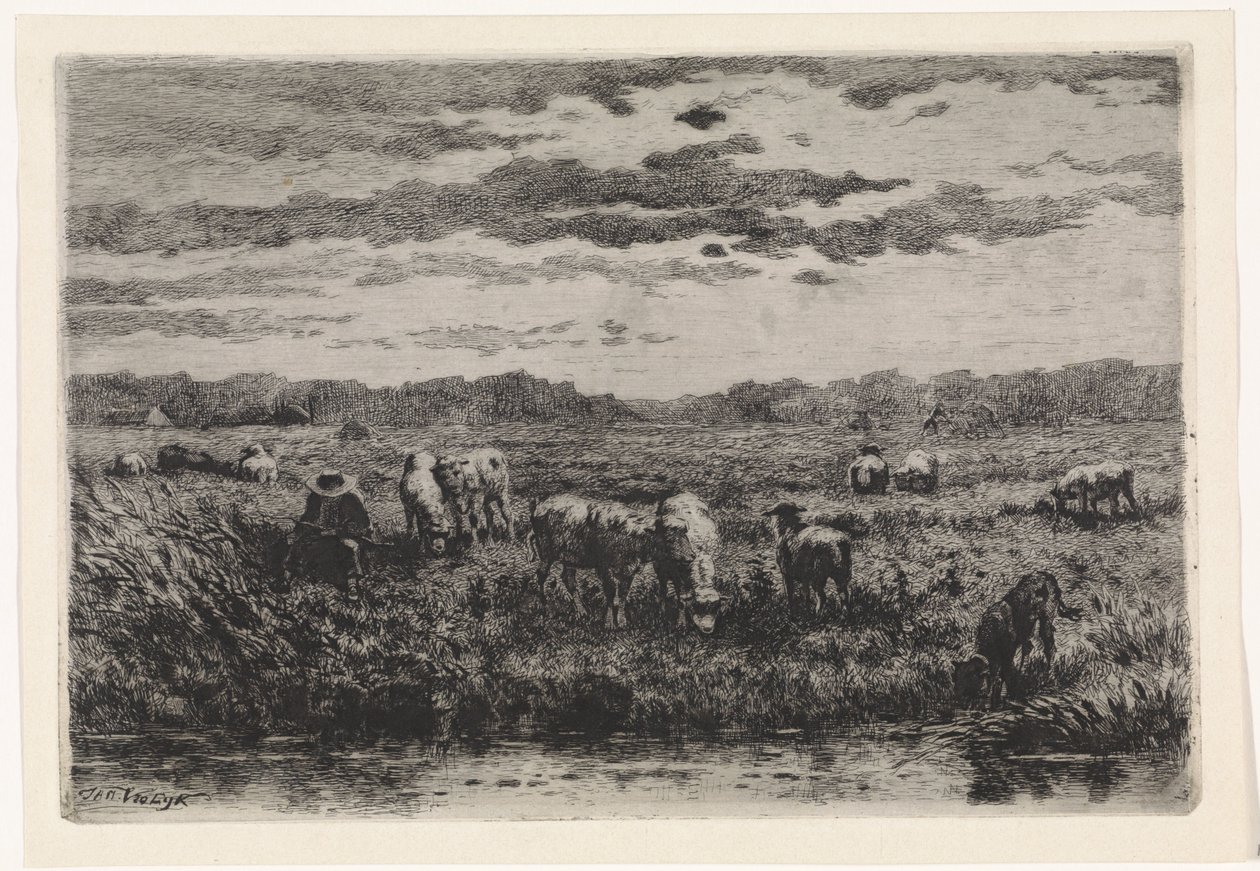 Landskap med sauer av Johannes Martinus Vrolijk
