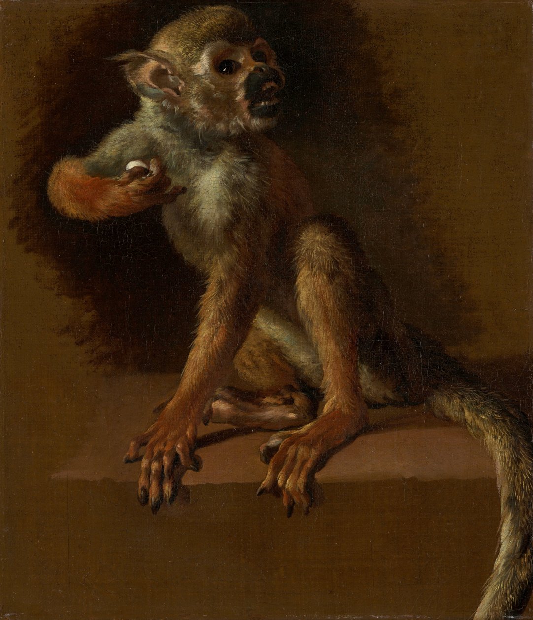 En sittende ape av Jan Baptist Weenix