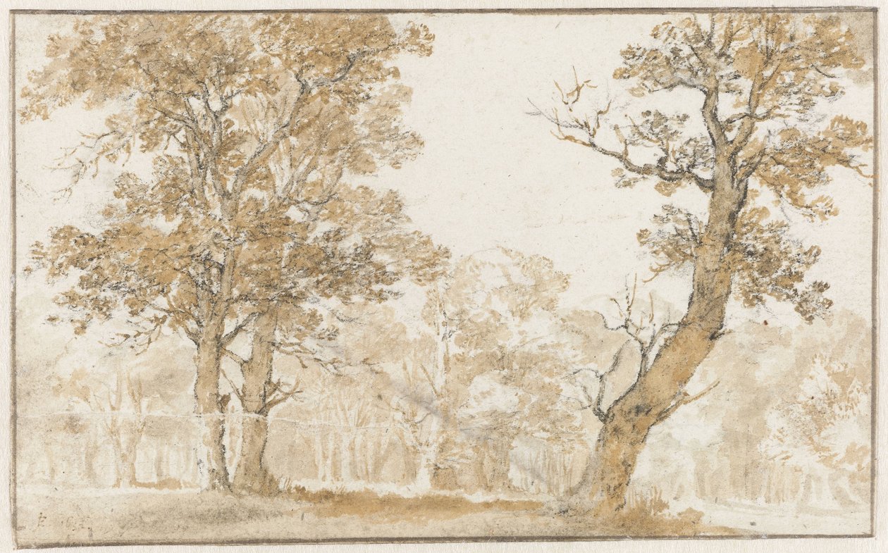 Haagskogen av Jan de Bisschop