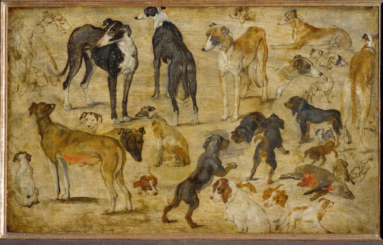 Tierstudien av Jan the Elder Brueghel