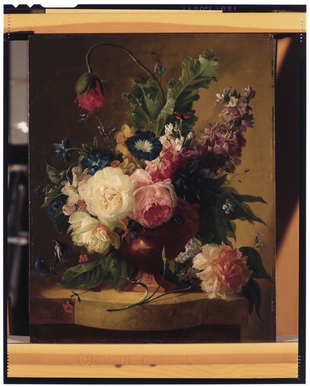 Blomster stilleben av Jan van Huysum