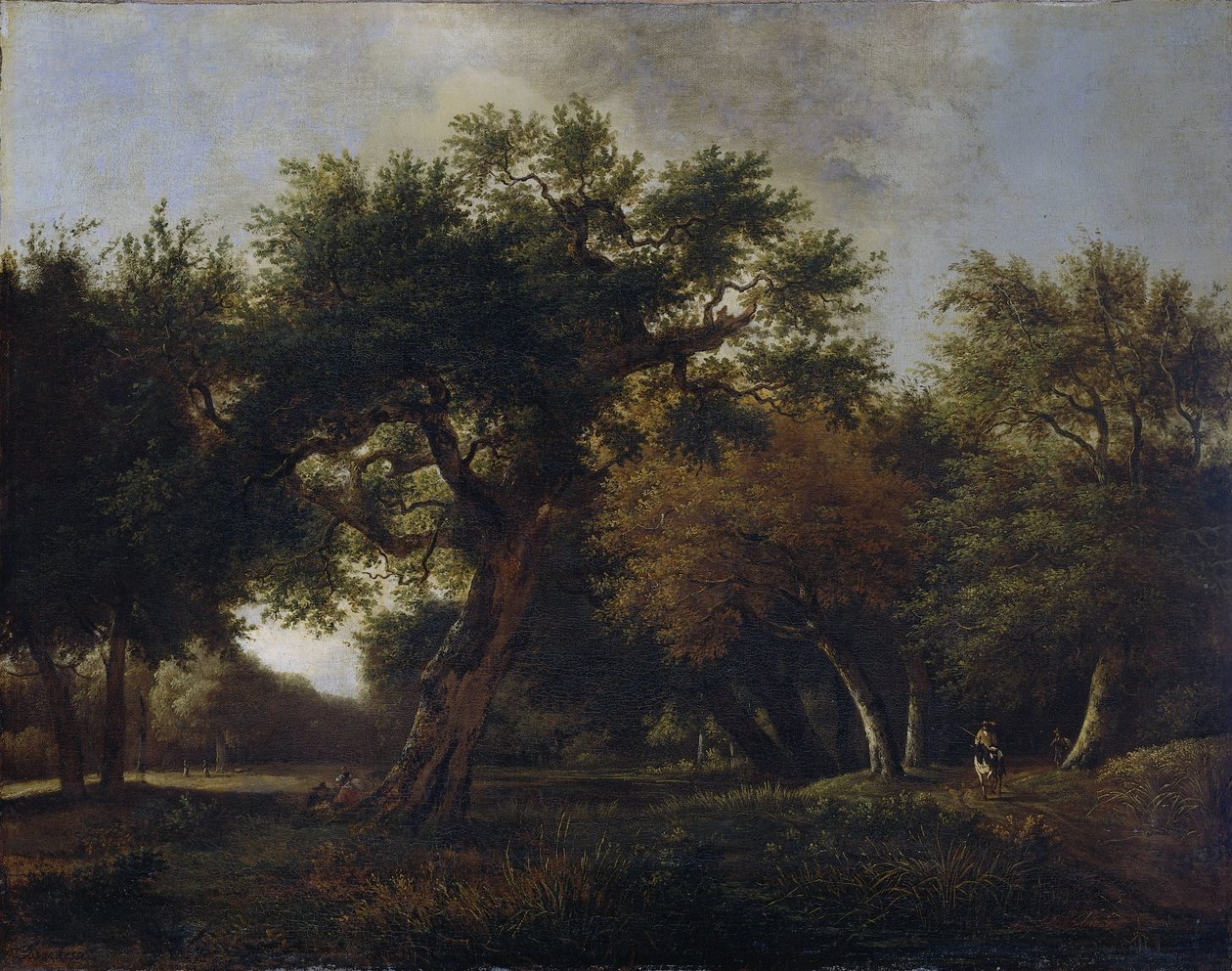 Utsikt i skogen av Jan van  Kessel