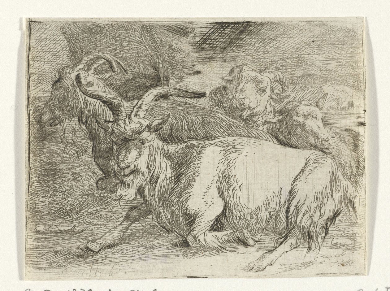 To geiter og to sauer av Jan van Ossenbeeck