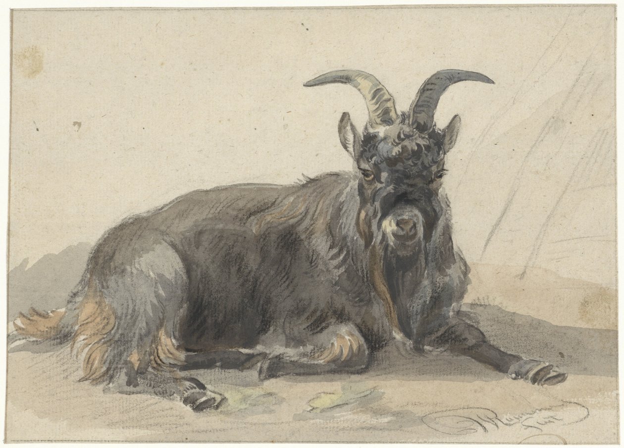 Liggende svart geit av Jan van Ravenswaay
