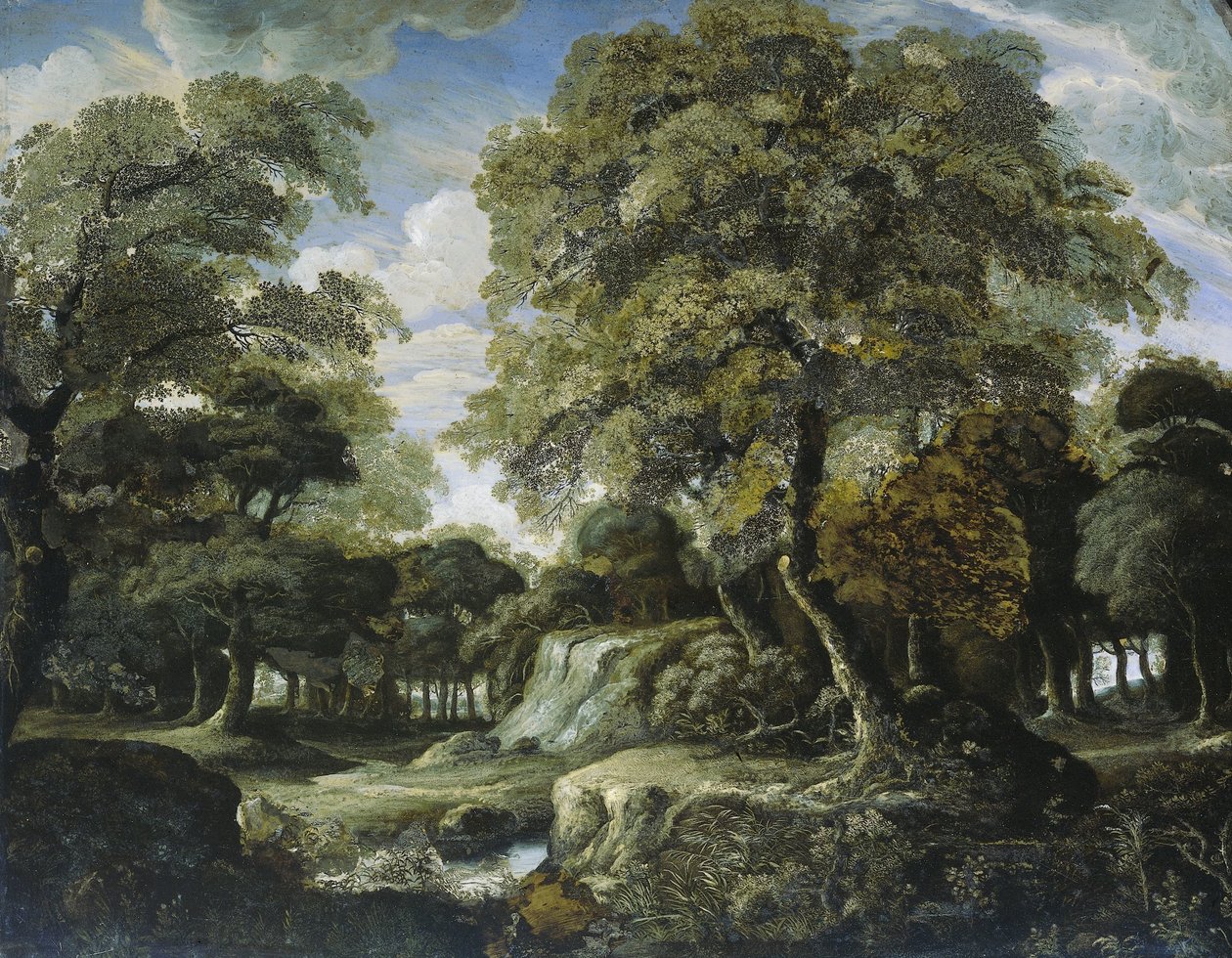 Utsikt i skogen av Jan van der Heyden