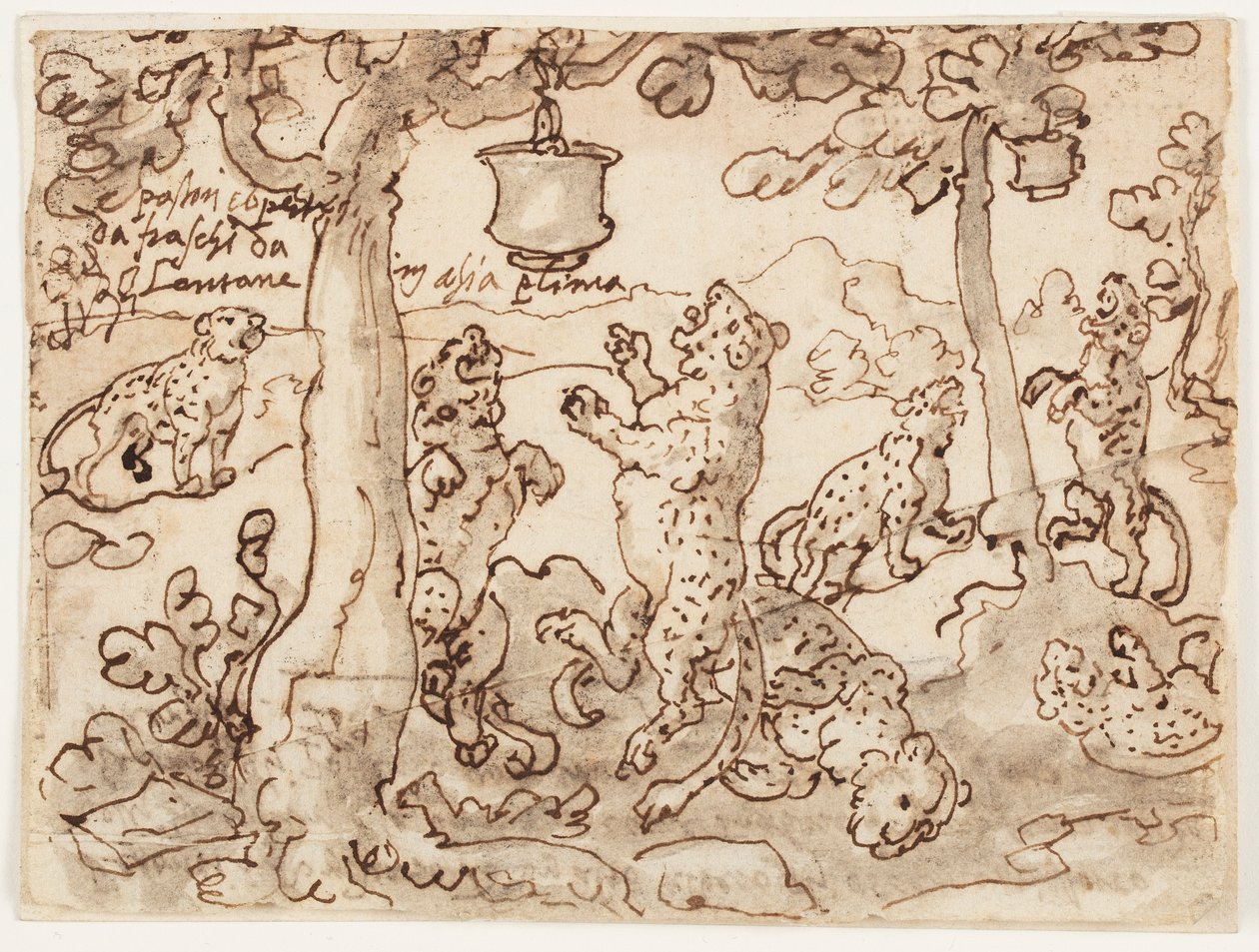 Panterfellen av Jan van der Straet, called Stradanus