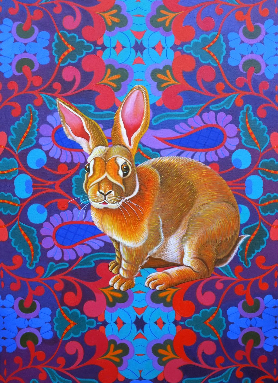 Kanin, 2014, av Jane Tattersfield