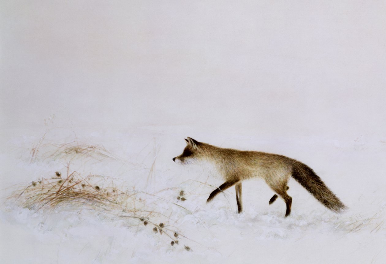 Rev i snø av Jane Neville