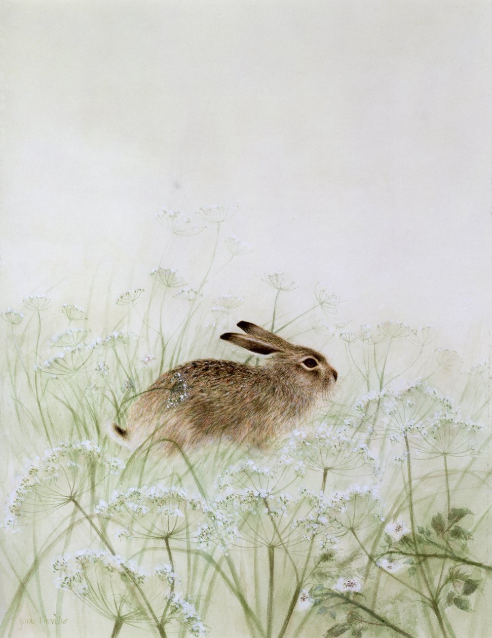 Kanin av Jane Neville