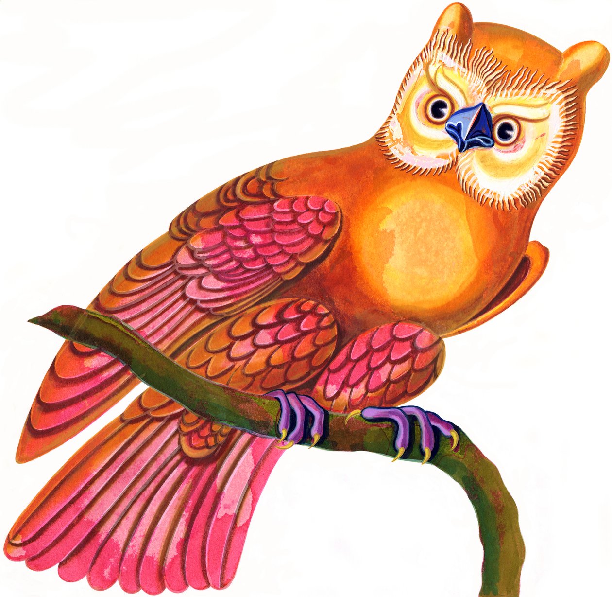 Owl, 1997, (blekk og gouache) av Jane Tattersfield