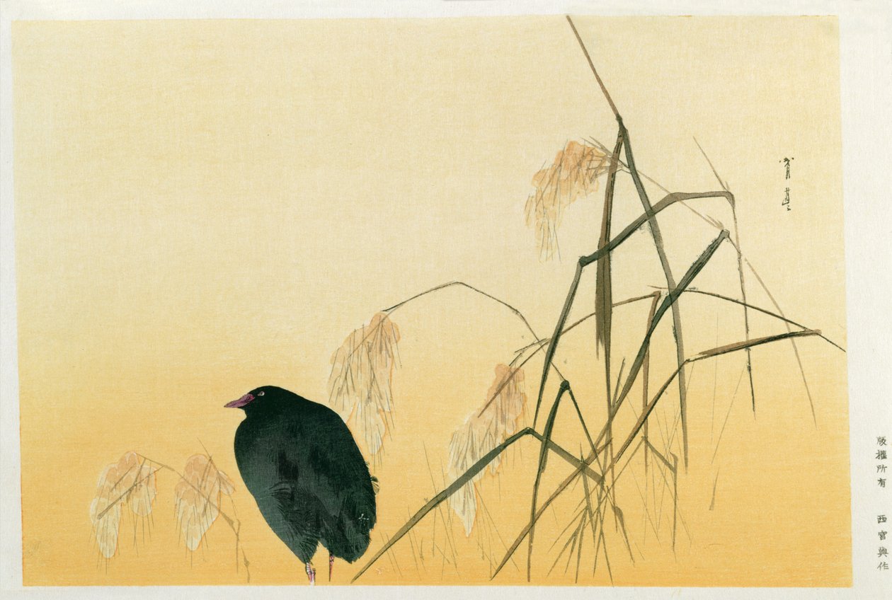 Blackbird, Edo Period (silkerull) av Japanese School