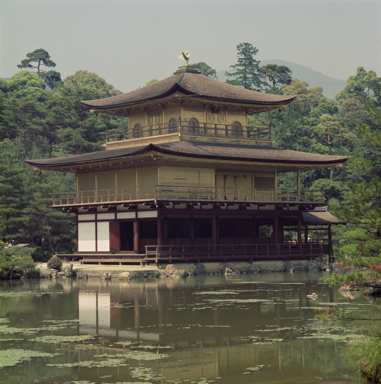 Kinkaku-tempelet (Golden Pavilion) dedikert til minnet om shogunen Ashikaga Yoshimitsu (1358-1408) 1400-tallet (gjenoppbygd 1800-tallet) av Japanese School