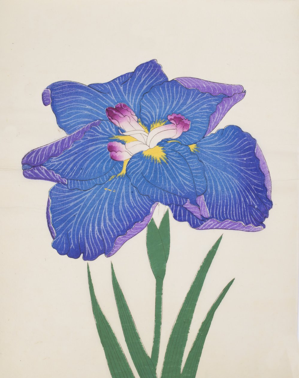 Azumabotan, nr. 89, 1890 (farget treblokktrykk) av Japanese School