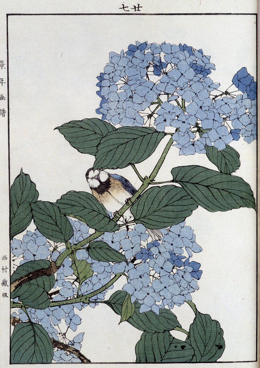Fugl i hortensia - japansk trykk av Japanese School
