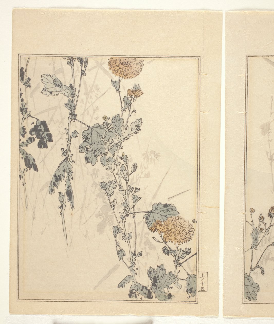 Krysantemum (farget treblokktrykk) (se også 374401) av Japanese School