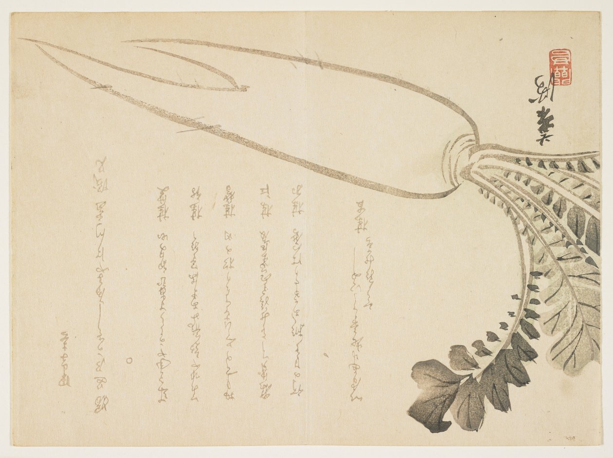 Daikon reddik, januar 1864 (farget treblokktrykk) av Japanese School