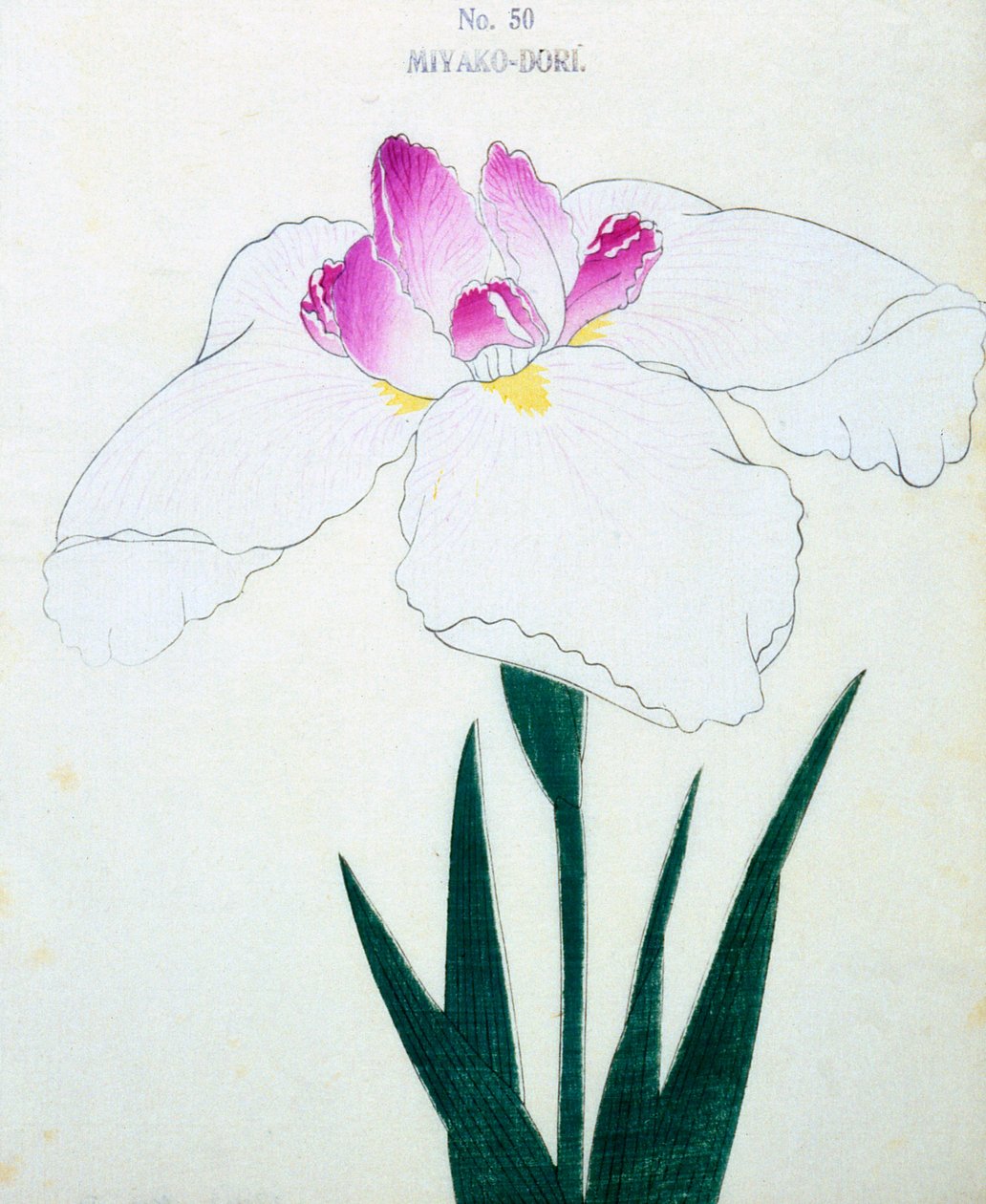 Hva er hovedstaden? 50, 1898 av Japanese School