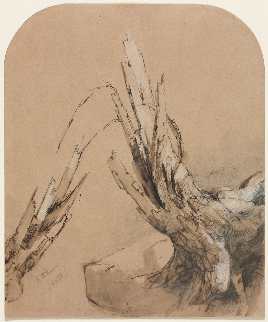 Et sprengt tre (recto) av Jasper F. Cropsey