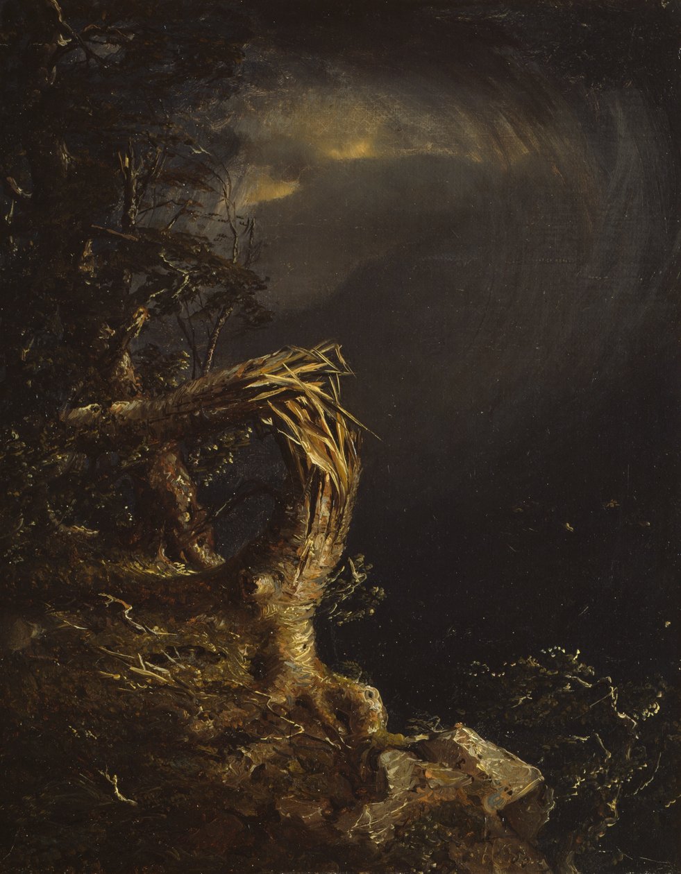 Sprengt tre, 1850. av Jasper Francis Cropsey