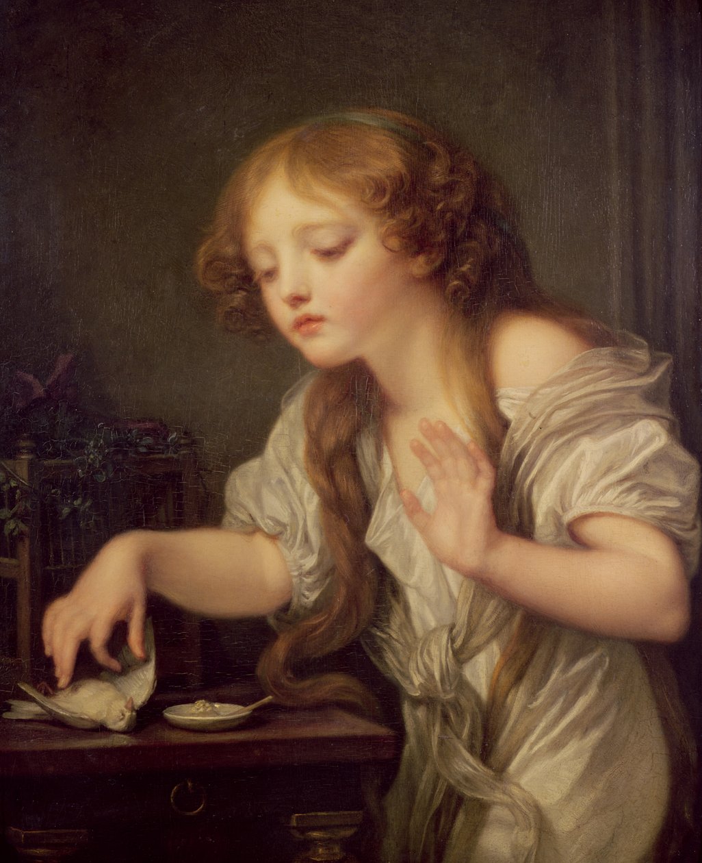 Den døde fuglen av Jean Baptiste Greuze
