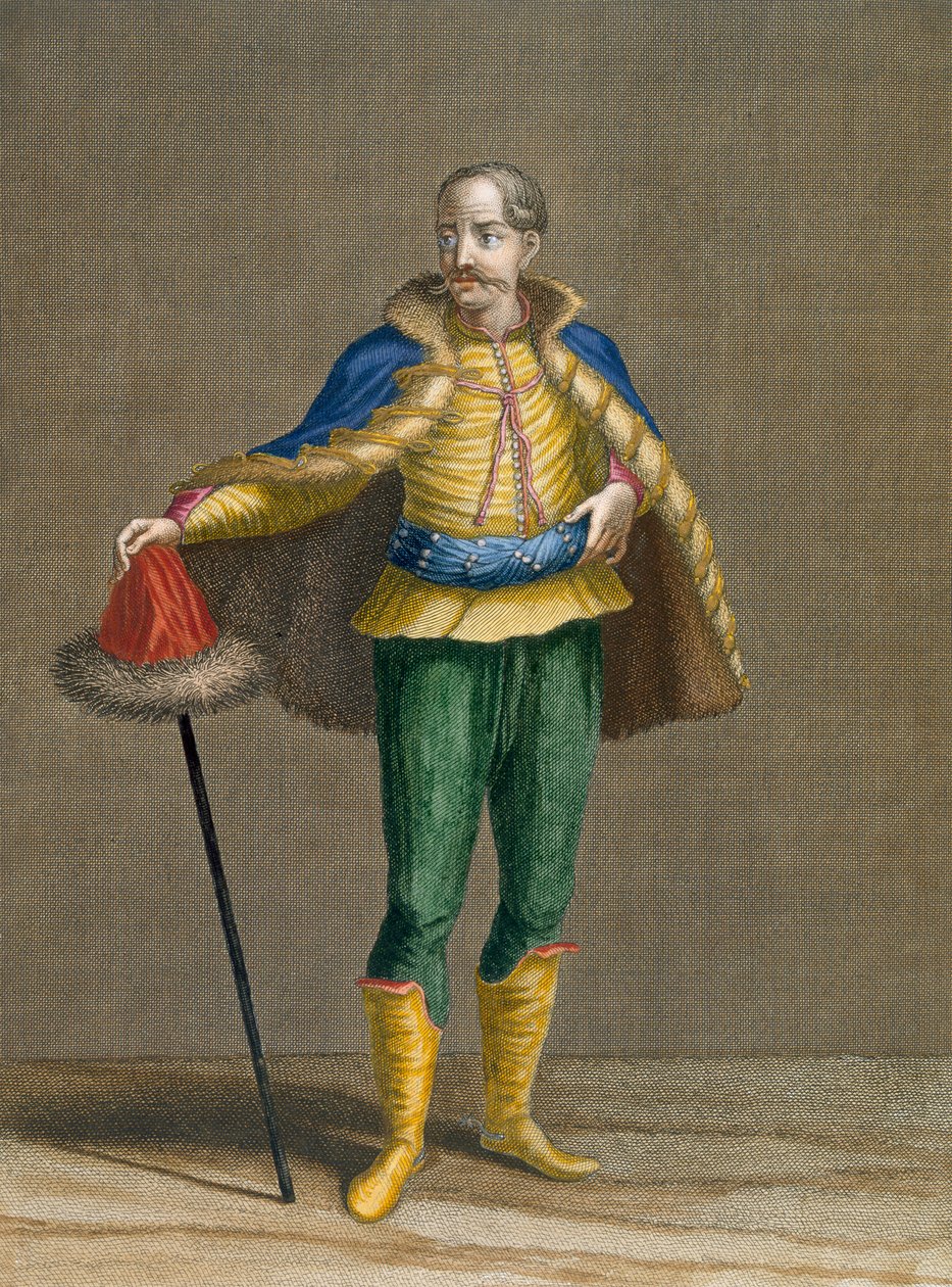 En ungarsk plate 76 fra 