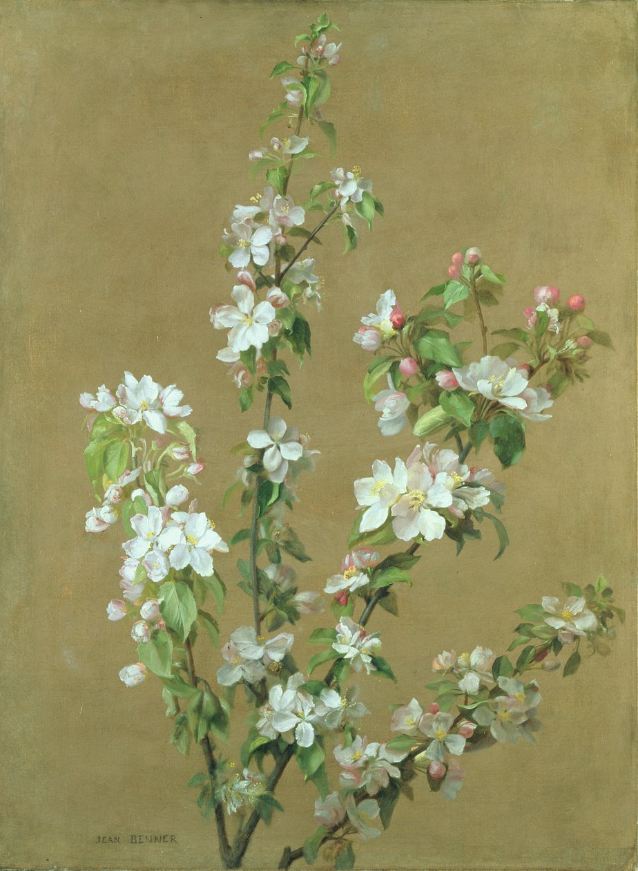 Epleblomst av Jean Benner