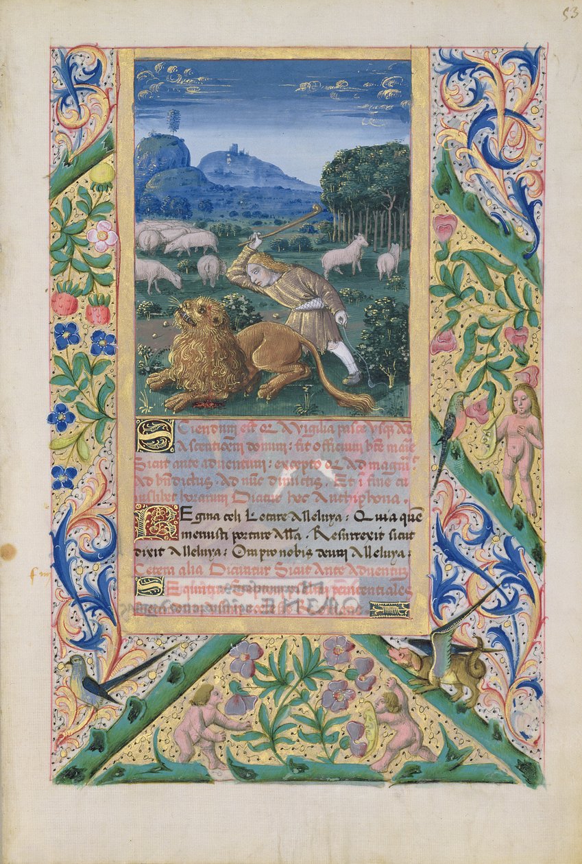 Ms Lat. Q.v.I.126 f.53 David forsvarer farens sauer mot en løve, fra 