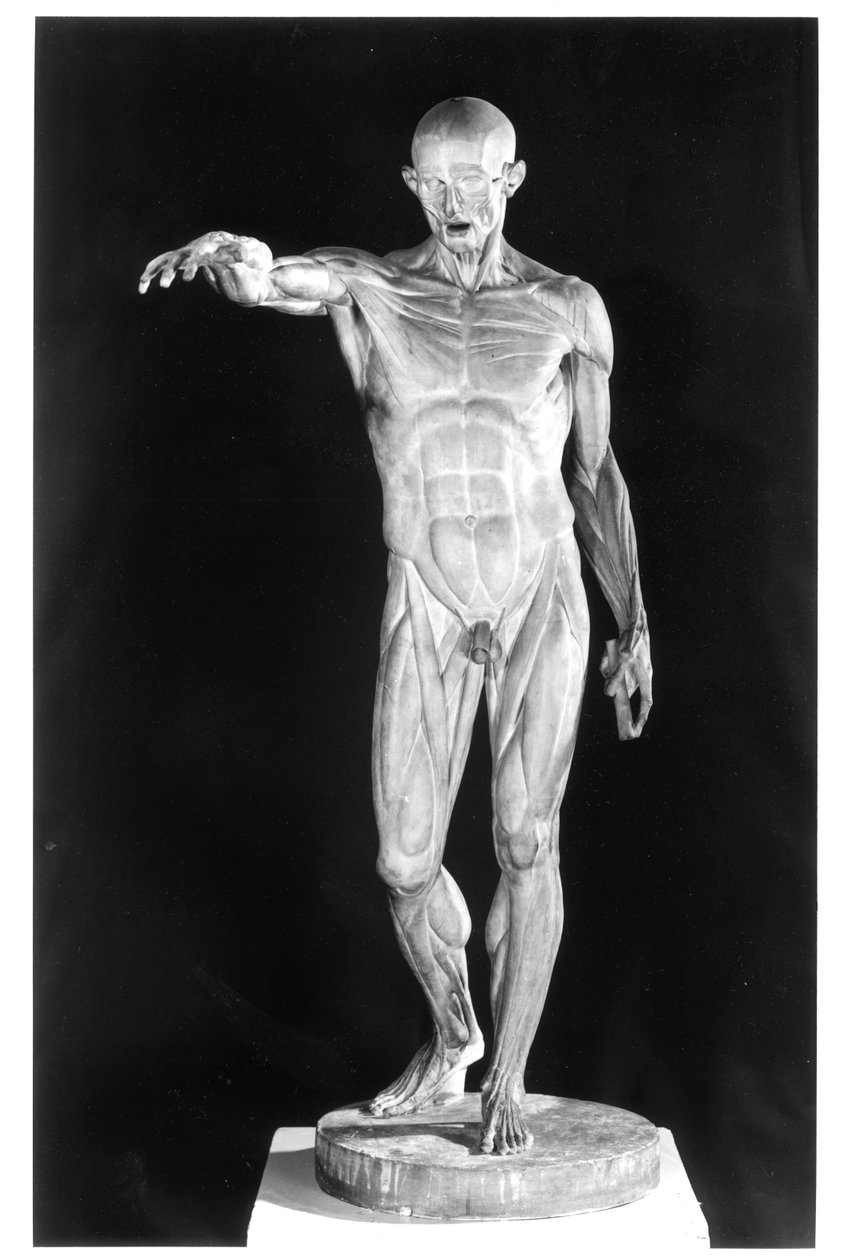 Fløyet kropp (gips) av Jean Antoine Houdon