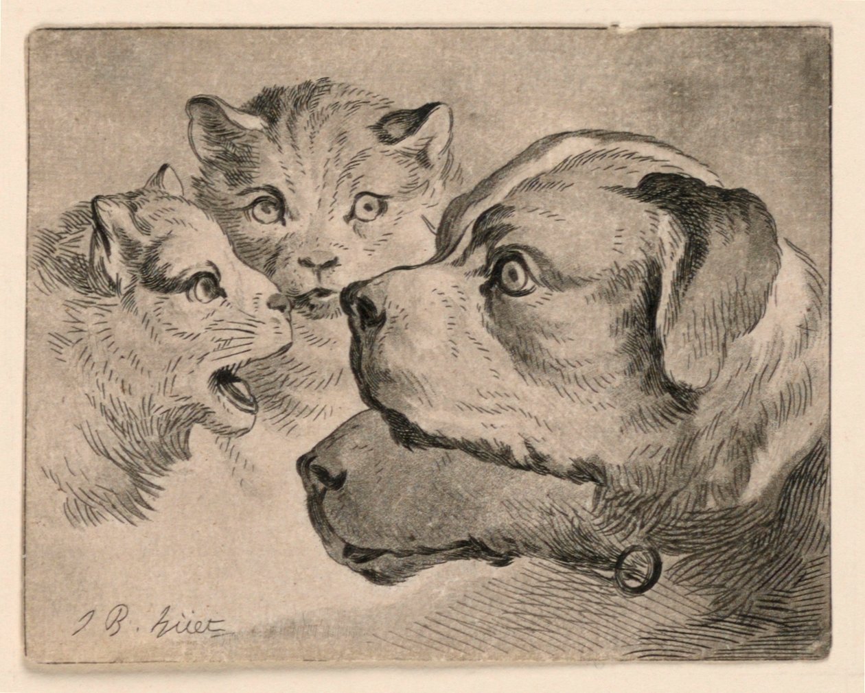 Hoder av katter og hunder av Jean Baptiste Huet