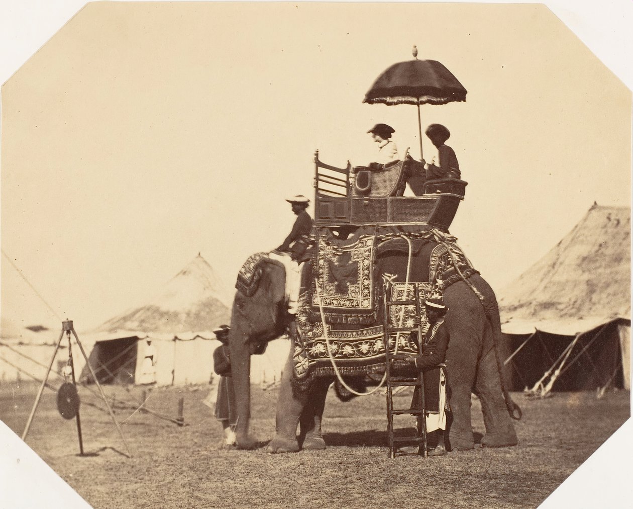 [Lady Canning], 1858-61. av Jean Baptiste Oscar Mallitte