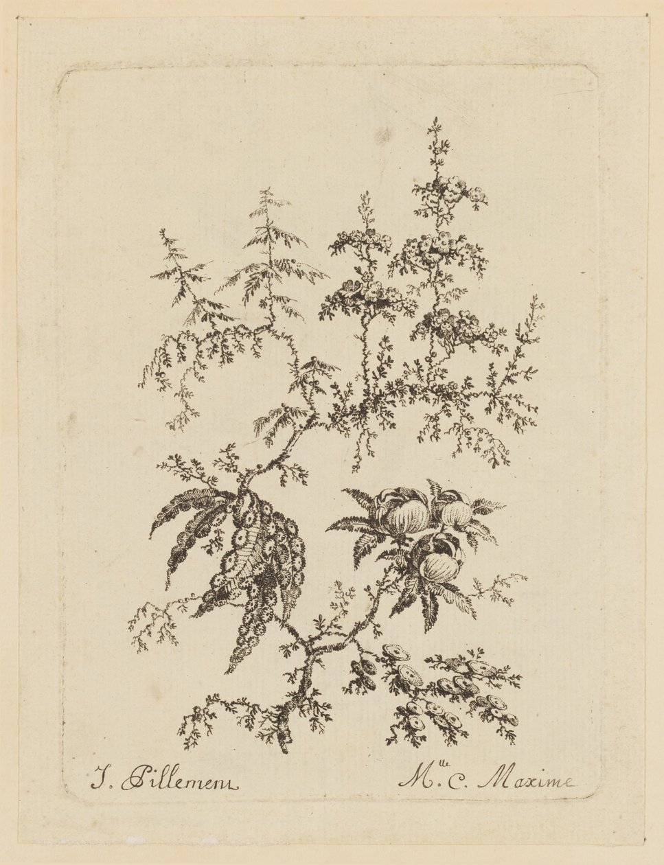 Fantastisk blomst av Jean Baptiste Pillement