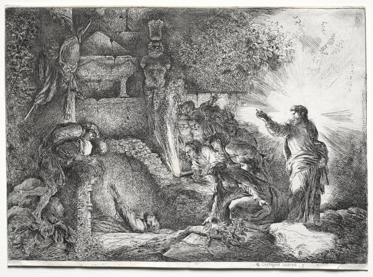 Lasarus