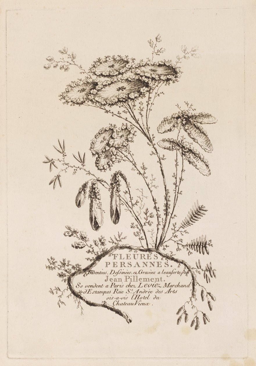 Tittelside, fra "Persiske blomster" av Jean Baptiste Pillement