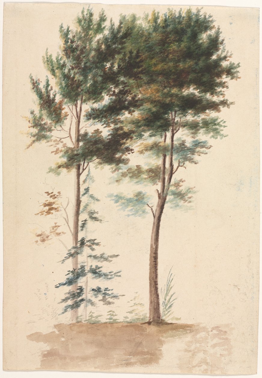Trær, 1700-tallet. av Jean Baptiste Pillement