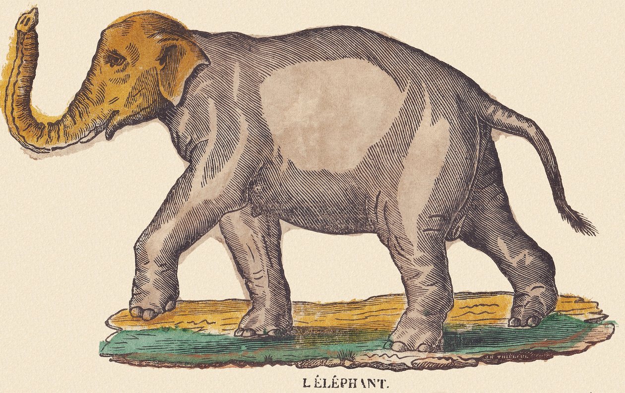  av Jean Baptiste Thiebault