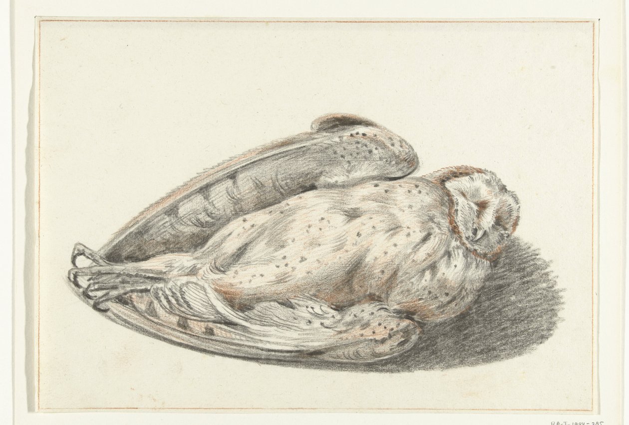 død ugle av Jean Bernard