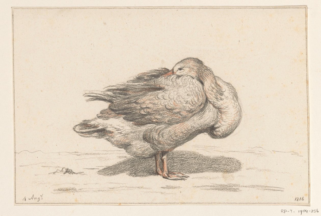 Gans av Jean Bernard