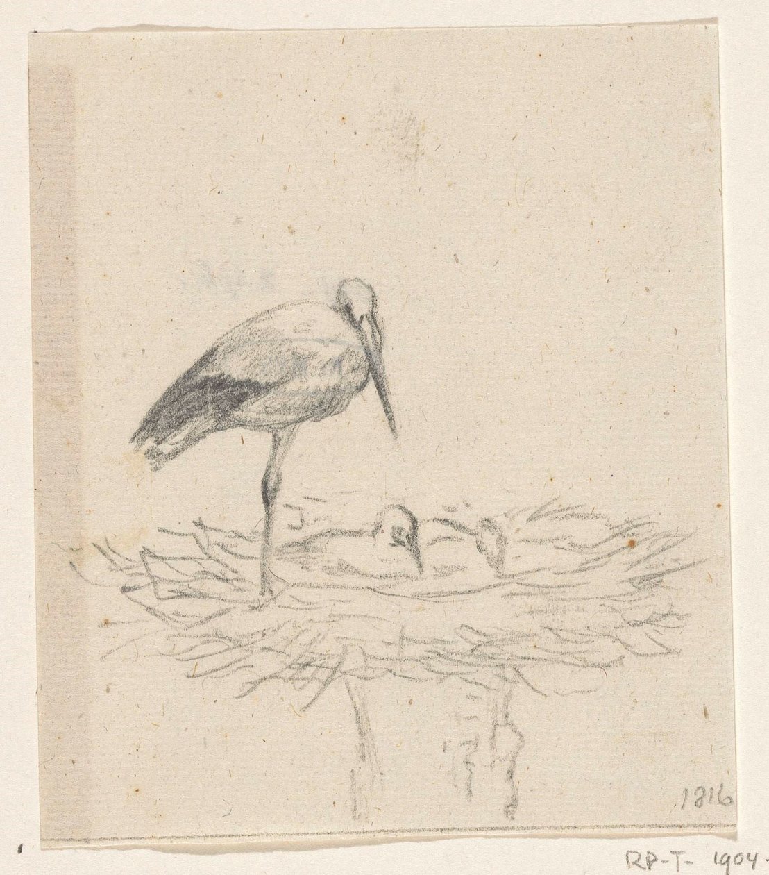 Stork på reir av Jean Bernard
